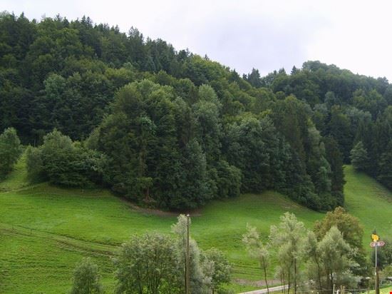  Friburgo  