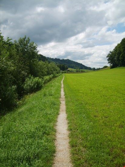  Friburgo  