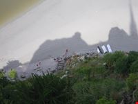 dalla cima del monte 3
