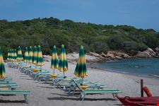 olbia olbia