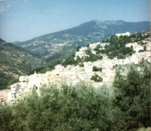 nocera terinese
