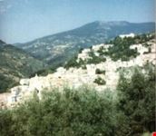 nocera terinese