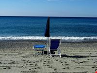 celle ligure allein