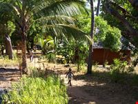 Nella natura,tra le capanne intorno a Watamu