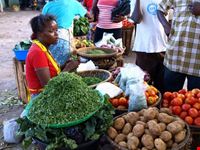 Fresh vegetables !