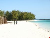Spiagge bianche