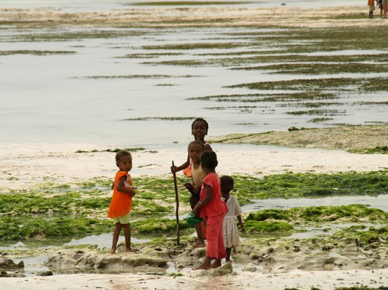 Kiwengwa childrens