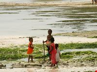 Kiwengwa childrens