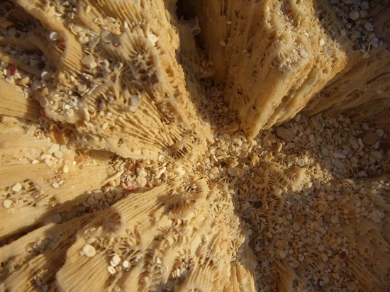 Marsa Alam-spiaggia-particolare