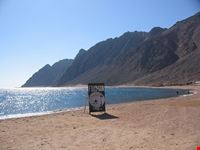 dahab full moon cafe