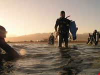 dahab diving at islands dahab exiting