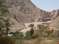 dahab urlaubsfoto