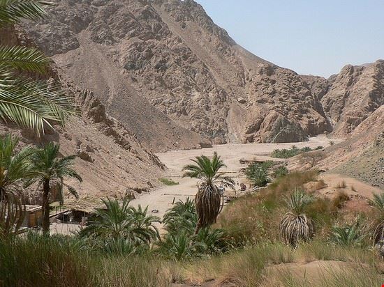  Dahab eviljohnius - Creative Commons eviljohnius