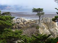Pebble Beach