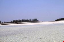 Mare