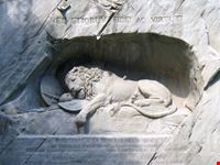 Il leone ferito