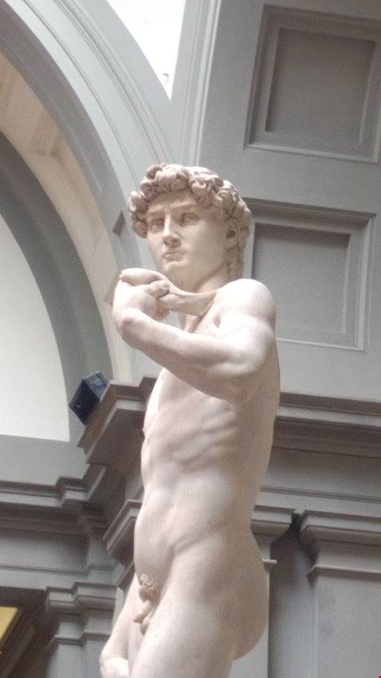 Galleria Dell'Accademia Galleria Dell'Accademia  