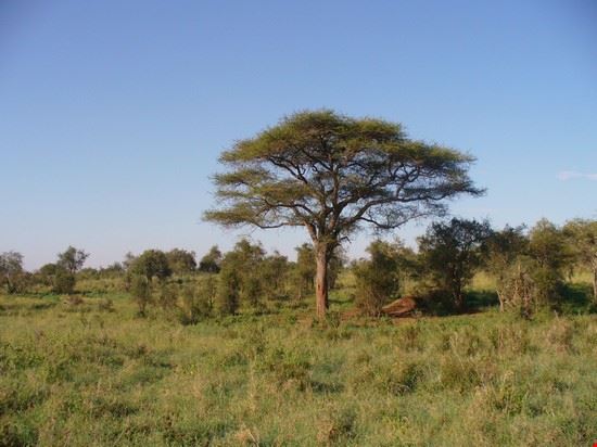  Malindi  
