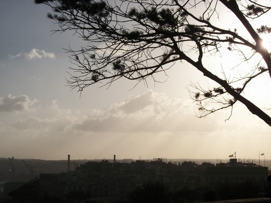 Panorama
