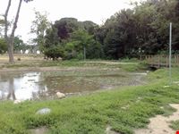 Parco degli acquedotti - Stagno