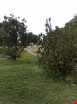 Parco degli acquedotti