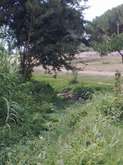 Parco degli Acquedotti