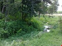 Torrente al Parco di San Policarpo