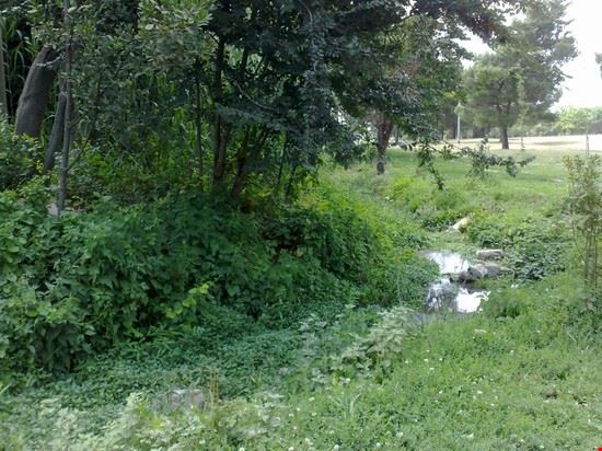 Parco degli Acquedotti Roma  
