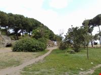 Nel Verde del Parco