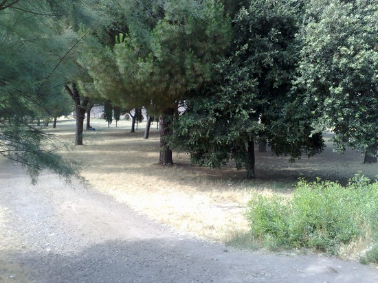 Il Verde di Roma
