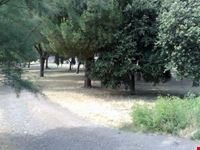 Il Verde di Roma