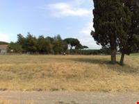 Roma Verde