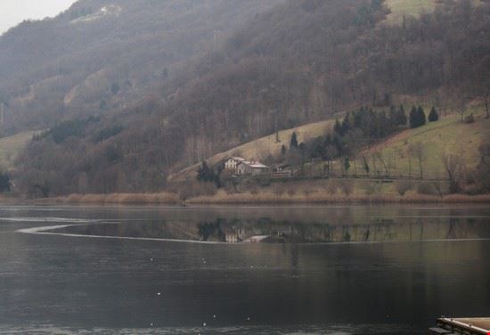  Spinone al Lago  