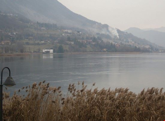 Spinone al Lago