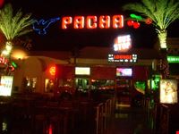 pacha di sharm