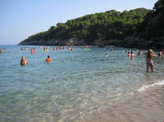  Campo nell'Elba  