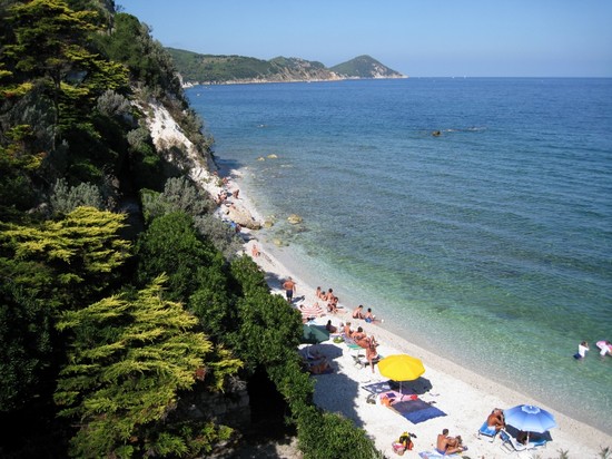 Capo bianco