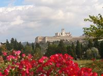 assisi assisi