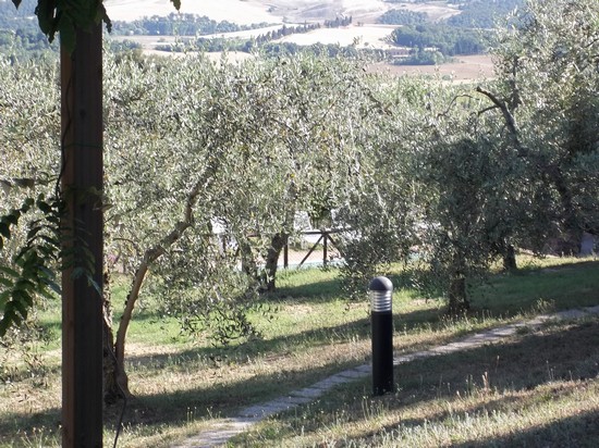 poggio bonelli