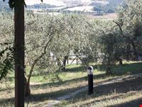 poggio bonelli