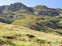 parco naturale regionale del Corno alle scale