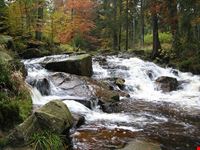 braunlage warme bode