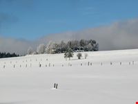 braunlage hasselkopf bei braunlage