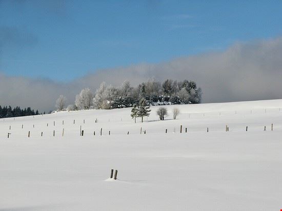  Braunlage m.prinke - Creative Commons m.prinke