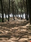 cecina auf dem weg zum strand von cecina