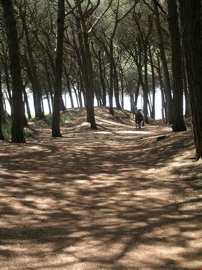  Cecina wiccahwang - Creative Commons wiccahwang