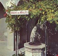 Pozzo del Miracolo Pozzo del Miracolo