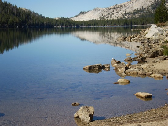 Quasi sulla vetta del Tioga Pass