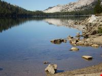 Quasi sulla vetta del Tioga Pass