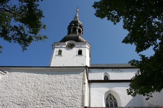 Città Vecchia Tallinn Naida Caira 